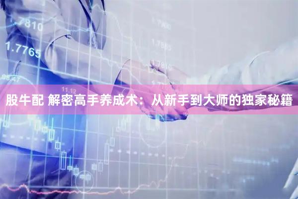 股牛配 解密高手养成术：从新手到大师的独家秘籍