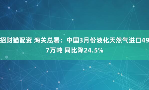 招财猫配资 海关总署：中国3月份液化天然气进口497万吨 同比降24.5%