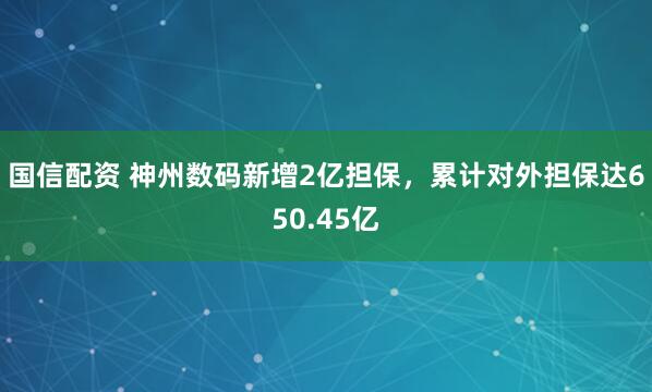 国信配资 神州数码新增2亿担保，累计对外担保达650.45亿
