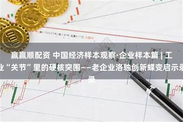 赢赢顺配资 中国经济样本观察·企业样本篇 | 工业“关节”里的硬核突围——老企业洛轴创新蝶变启示录