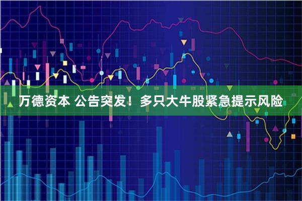 万德资本 公告突发！多只大牛股紧急提示风险